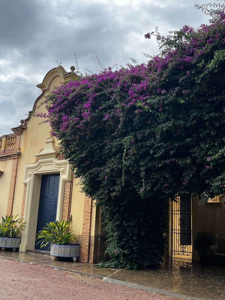 Cuánto cuesta contratar a una Wedding Planner en España